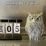 Realistic Owl Statue for Indoor & Outdoor Decoration, Effective Birds Deterrent for Garden, Patio, Yard, and Fake Owl Home Decor, Suitable for Outside Decor (Gray)