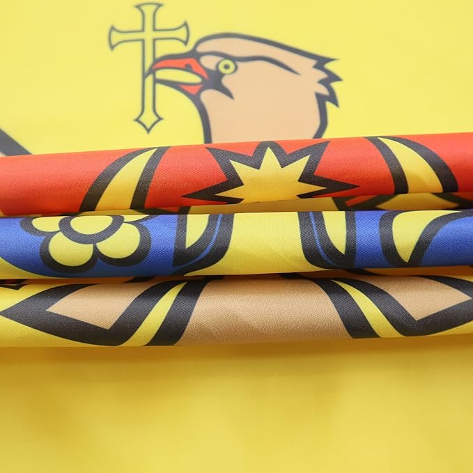 AZ FLAG Moldova Flag 150 x 90 cm with 4 Eyelets for Balcony or Wall