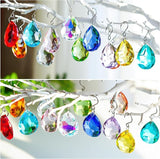 H&D HYALINE & DORA 38mm Crystal Suncatcher Prisms Multicolor Bauhinia Chandelier Crystals Replacement Chandeliers Glass Beads for Window Hanging Decor(12 Pack)