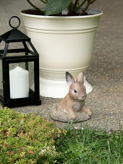 Zingz & Thingz Outdoor Garden Cottage Core Collection Miniature Sculpture, 5.5x5.5x6.25, Curious Bunny
