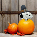 PRODUCTWORKS Peanuts Pumkin Press-in Icon Metal Stake Halloween Harvest Decor Porch Decorating Indoor Outdoor (Thanksgiving Snoopy)