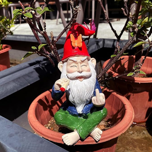 Funny Garden Gnome Statue - Mini Figurine Ornament for Outdoor Fairy Garden & Indoor Decor, Resin Craft Gift (Santa Claus)