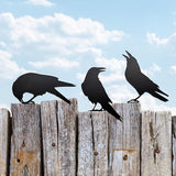 Set of 3 Metal Raven Statues - Gothic Crow Decor for Outdoor Fence Topper, Garden, and Halloween Displays | Fake Crow Ornament for Witchy Garden Decor Yard, Patio & Lawn | Unique Halloween Raven Gift