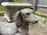 Standing Dachshund Stone Statue | Reconstituted Stone Puppy Dog Outdoor Garden Ornament Decoration