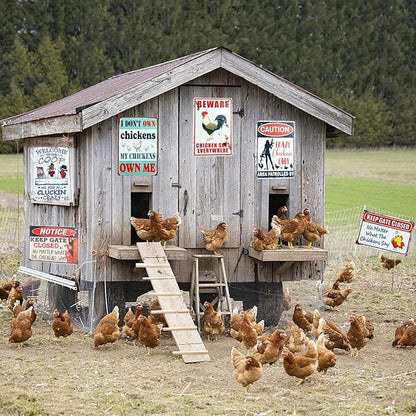 10 Pack Chicken Coop Signs,8 x 12 Inch Funny Metal Chicken Signs, for Home Kitchen Decor Chicken Lovers Gifts, chicken signs for coop funny outdoor