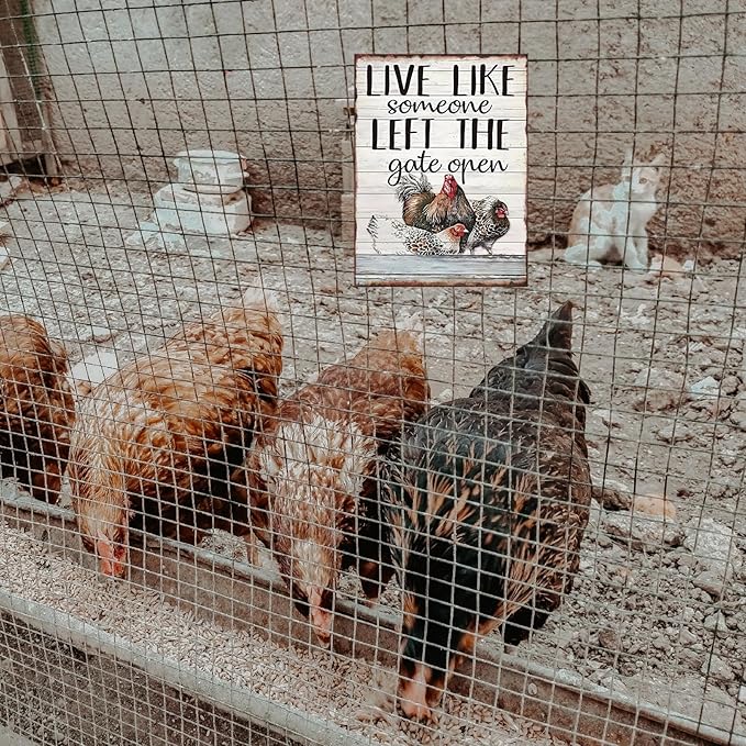 Funny Chicken Sign, Metal Chicken Coop Tin Signs, Live like someone left the gate open, Yard Sign Garage Farm Garden Wall Decor Sign Plaque Outdoor for Home Fence 8 X 12 Inches