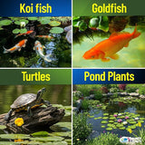 PondFirst Pond Water Conditioner - Concentrated Instant Dechlorinator for Fish Ponds, Makes Water Safe for Koi and Goldfish, Made in The USA, Aquatic Experts (Liquid - 2 Liters)