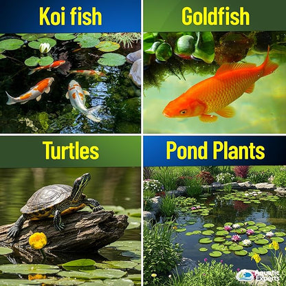 PondFirst Pond Water Conditioner - Concentrated Instant Dechlorinator for Fish Ponds, Makes Water Safe for Koi and Goldfish, Made in The USA, Aquatic Experts (Liquid - 500 ml)