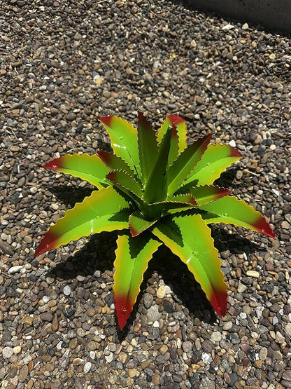 Mini Metal Agave - Garden Art (Cherry Lime)