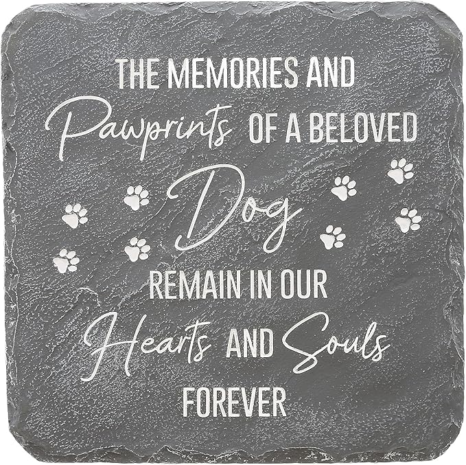 Pavilion Gift Company 25314 Dog Memorial-7.75" x 7.75" Garden Stone, Gray, White