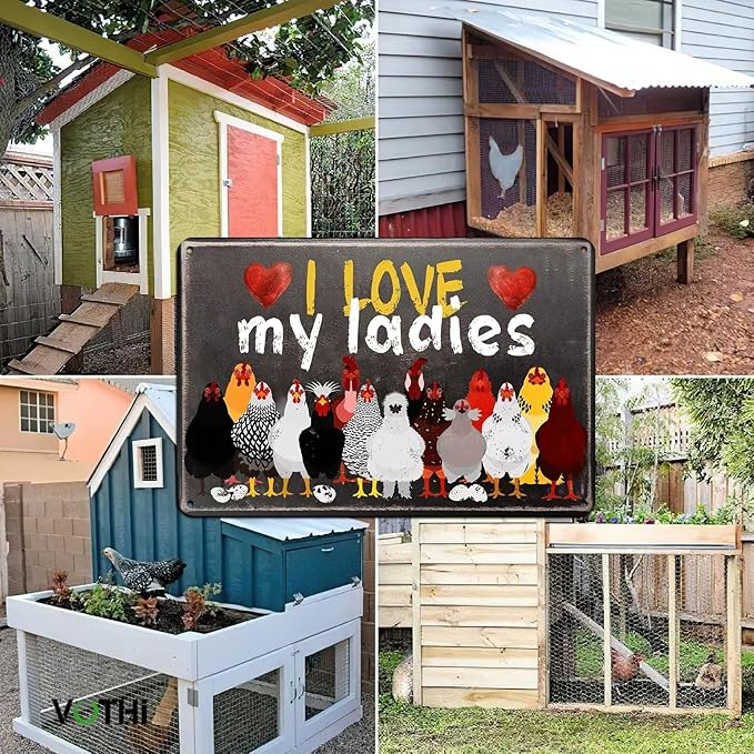 Funny Chicken Coop Signs;I Love My Ladies;Vintage Kitchen Decor for Chicken Owners for Farmhouse Farm Yard Fence Home Kitchen Gardening Outdoor Decor Chicken Signs 8x12 In