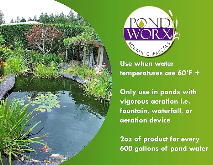 Pondworx Water Clear - Concentrated Formulation Improves Water Clarity and Quality, Helps Clear Cloudy Water, Safe for Fish, Pets, and Plant - 1 Gallon