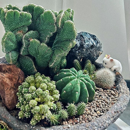 4pcs Climbing Cat Statues For Planter, Cute Animal Figurines Plant Decorations For Pots Vase Fish Tank, Indoor Outdoor Flower Pot Hanging Ornament, Fairy Garden Accessories Décor, Gift For Plant Lover