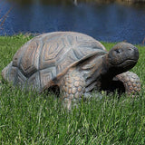 Sunnydaze Tanya the Garden Turtle Statue - Turtle Garden Decor for Yard, Lawn, Patio Décor – 20" x 12" Durable Poly-Concrete - Gift Idea