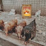 Funny Chicken Sign, Metal Chicken Coop Tin Signs, Farm Fresh Eggs Smile Chicken, Yard Sign Garage Farm Garden Wall Decor Sign Plaque Outdoor for Home Fence 8 X 12 Inches