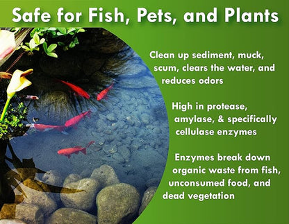 Pond Worx Water Clear - Concentrated Formulation Improves Water Clarity and Quality, Helps Clear Cloudy Water, Safe for Fish, Pets, and Plants - 1 Quart (32ounces)