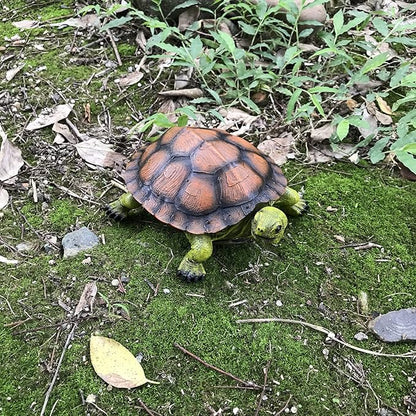 Turtle Tortoise Sculptures, Garden Patio Lawn Yard Art Resin Decorations Outdoor Garden Decor, 8.6 inches Turtle Yard Decorations Outdoor, Full Color 1