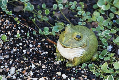 Evergreen Garden Cute Portly Frog 6" Tall Outdoor Statue and Secret Key Holder | Weatherproof and Outdoor Safe | Garden Sculpture | Porch Garage or Patio Home Decor