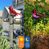 Cardinal Garden Stakes Solar Birds Lights Decorations Outdoor Waterproof, Decorative Solar Fence Pathway Lights Outdoor Garden, Cardinal Outside Patio Backyard Valentine's Day Decor