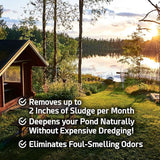 Pond Sludge Remover – 5 Pounds Beneficial Pond Bacteria & Enzyme Treatment - 100% Natural Muck Digester – Safe for All Aquatic Life and Recreation - Made in The USA