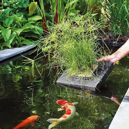 velda 127579 Square 35 Centimetre Floating Plant Island for The Pond