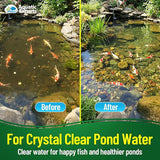 Aquatic Experts Green COARSE Pond Filter Pad - 2 inch Thick - Bulk Roll Water Garden Filter Pond Media - Made in USA, (16" x 56")