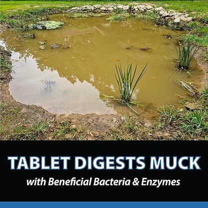 CrystalClear MuckOff, Natural Pond Muck Treatment, Water Garden, Fountain & Bird Bath Sludge Remover, Living Beneficial Bacteria Clarifier with Enzyme, Fish, Aquatic Animal, & Pet Safe, 24 Tablets