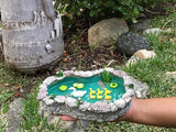 GlitZGlam Duck Pond -Mother and Ducklings! A Miniature Duck Pond for a Miniature Fairy Garden and Miniature Garden Accessories