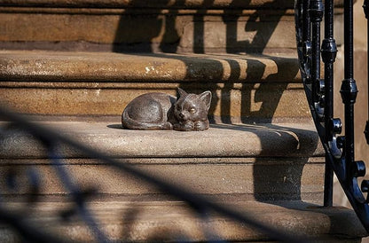 Roman Garden - Bronze Sleeping Cat Statue, 3.5H, Collection, Resin and Stone, Decorative, Gift, Home Outdoor Decor, Durable, Long Lasting