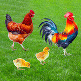 Chicken Decor Metal Garden Stakes Chicken Gifts for Women/Men Chicken Lovers Gifts Multicolor Statues for Yard Art, Outside, Patio, Outdoor Decor, Garden Decorations, Lawn Ornaments