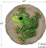 Spoontiques -Garden Décor - Raised Frog Stepping Stone - Decorative Stone for Garden