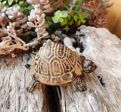 Hide A Key Outside - Spare Key Hider - Outdoor Key Hider, Garden Turtle Statues Key Box