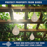 PESTEZE USA Water Droplet Wind Spinner, 4×9.25 Stainless Steel Highly Reflective Outdoor Hanging Spinner for Bird Deterrent, Garden & Yard Decor, Resistant Metal Art with 360° Wind Motion Easy Install