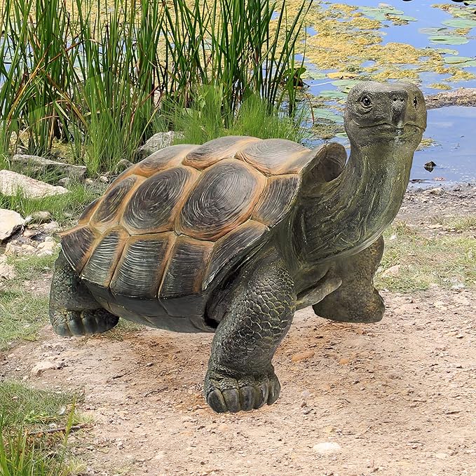 Design Toscano The Cagey Tortoise Statue
