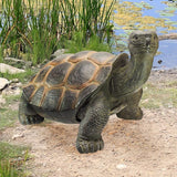Design Toscano The Cagey Tortoise Statue
