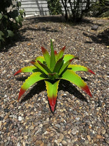 Mini Metal Agave - Garden Art (Cherry Lime)