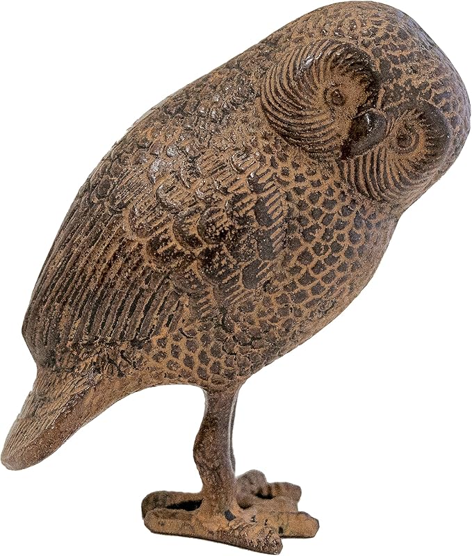 Saw Whet Owl