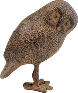 Saw Whet Owl