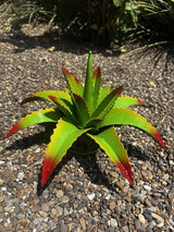 Mini Metal Agave - Garden Art (Cherry Lime)