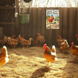 Funny Chicken Coop Signs and Accessories, Make Farming Great Again, Patriotic Farmhouse Metal Wall Art for Coop Farm Stand Chicken Farm Fresh Butt Nuggets Sign 8×12 Inch (yellow chicken coop)