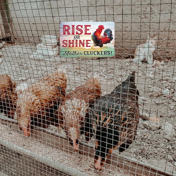 Funny Chicken Sign, Metal Chicken Coop Tin Signs, Rise and Shine Mother Cluckers, Yard Sign Garage Farm Garden Wall Decor Sign Plaque Outdoor for Home Fence 8 X 12 Inches