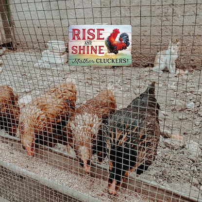Funny Chicken Sign, Metal Chicken Coop Tin Signs, Rise and Shine Mother Cluckers, Yard Sign Garage Farm Garden Wall Decor Sign Plaque Outdoor for Home Fence 8 X 12 Inches