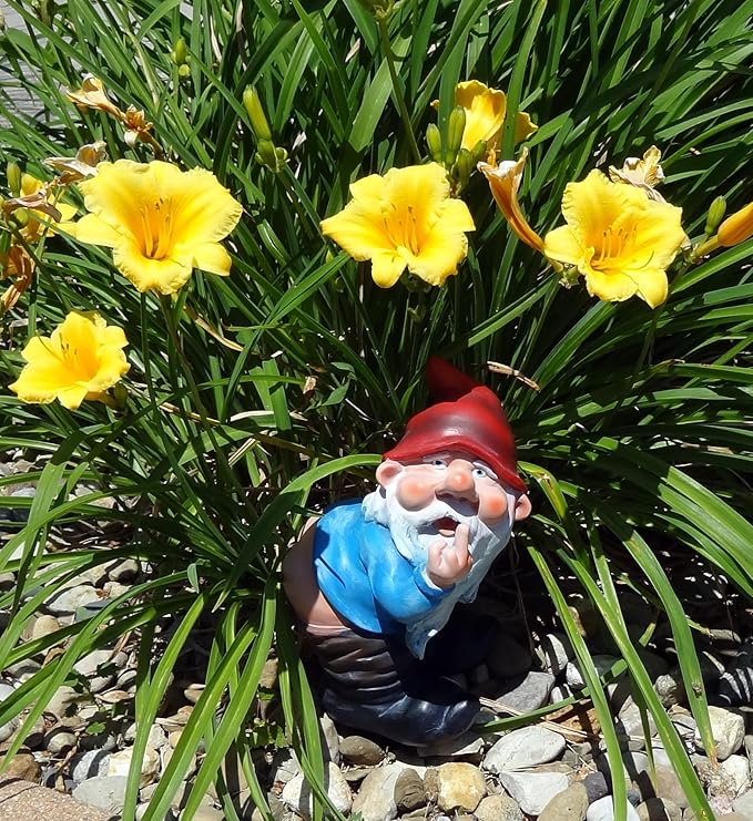 Funny Garden Gnome Statue – Cheeky Outdoor Yard Decor with Raised Finger – Resin Lawn Ornament for Patio, Garden, Desk & Man Cave Gift