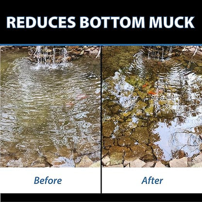 CrystalClear MuckOff, Natural Pond Muck Treatment, Water Garden, Fountain & Bird Bath Sludge Remover, Living Beneficial Bacteria Clarifier with Enzyme, Fish, Aquatic Animal, & Pet Safe, 24 Tablets
