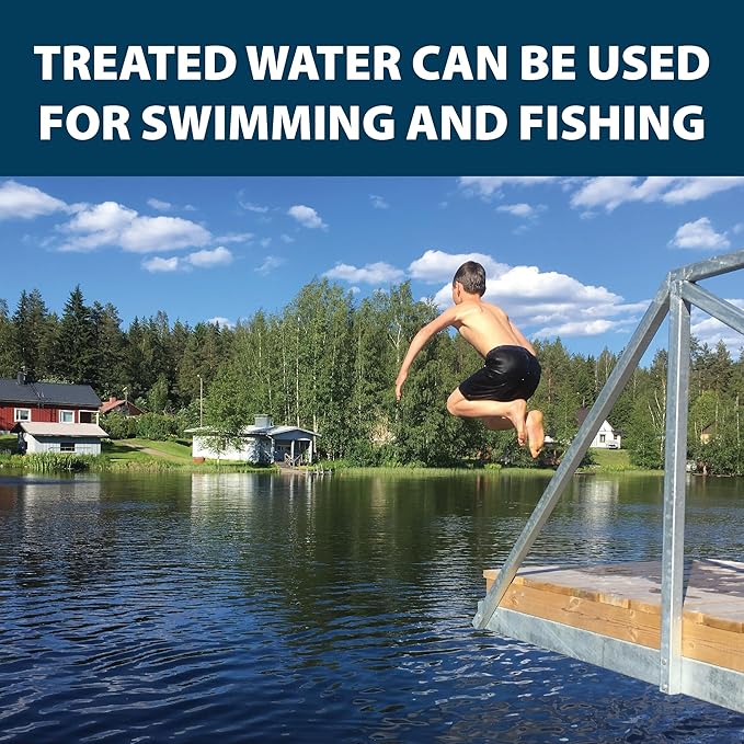 Airmax Nature's Blue Pond Dye 4X Concentrate for Outdoor Ponds & Lakes, Natural Pond Color & Beauty Enhancer, Swimming Safe Water Colorant, Easy Liquid Application, 1 Quart