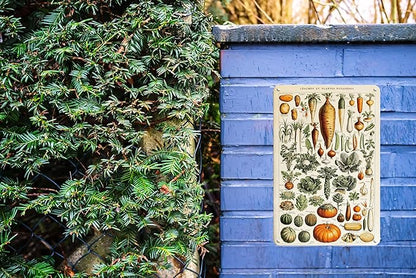 Vintage French Vegetables and Herb Garden Plants Metal Tin Yard Sign - Outdoor Plant Art Decor for Backyards, Greenhouse, Outside Patio Porch - Unique Wall Art Hanging Decor 8"x12" Gardening Gift for Women Plant Lovers