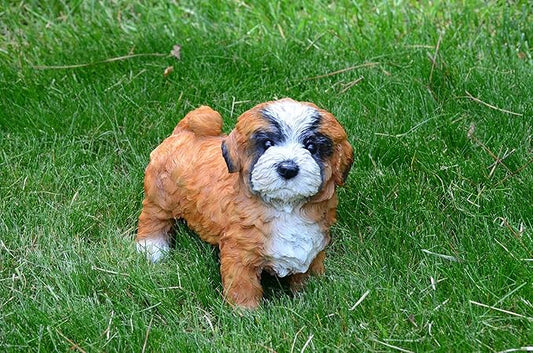 Michael Carr Designs 80090 Lhasa Apso Puppy Diva Statue, Small