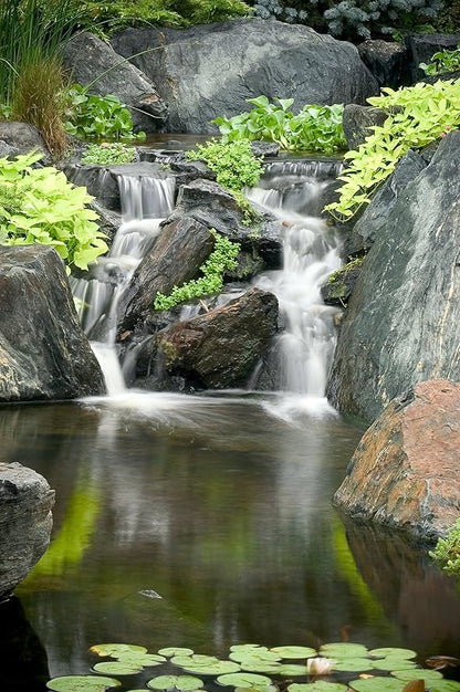 Aquascape 30408 AquascapePRO Sludge Cleaner Liquid Treatment for Pond Water Feature Waterfall Stream, 1 Gallon