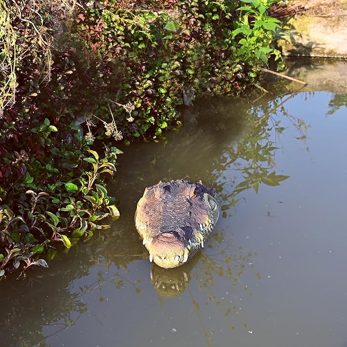 LUEUR Pond Floating Fake Alligator Head Decoy Crocodile Fake Head for Decorations Outdoor Pools Float Fake Gator Head Deterrent Ducks for Pond Decorations,Swimming Pool, Koi Pools