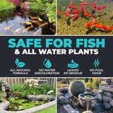 Natural Pond Care Ball – Easy Drop-in Maintenance for Outdoor Ponds and Water Features, Suitable for Fish & Plants, Up to 2500 Gallons – 4 Week Use